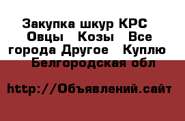 Закупка шкур КРС , Овцы , Козы - Все города Другое » Куплю   . Белгородская обл.